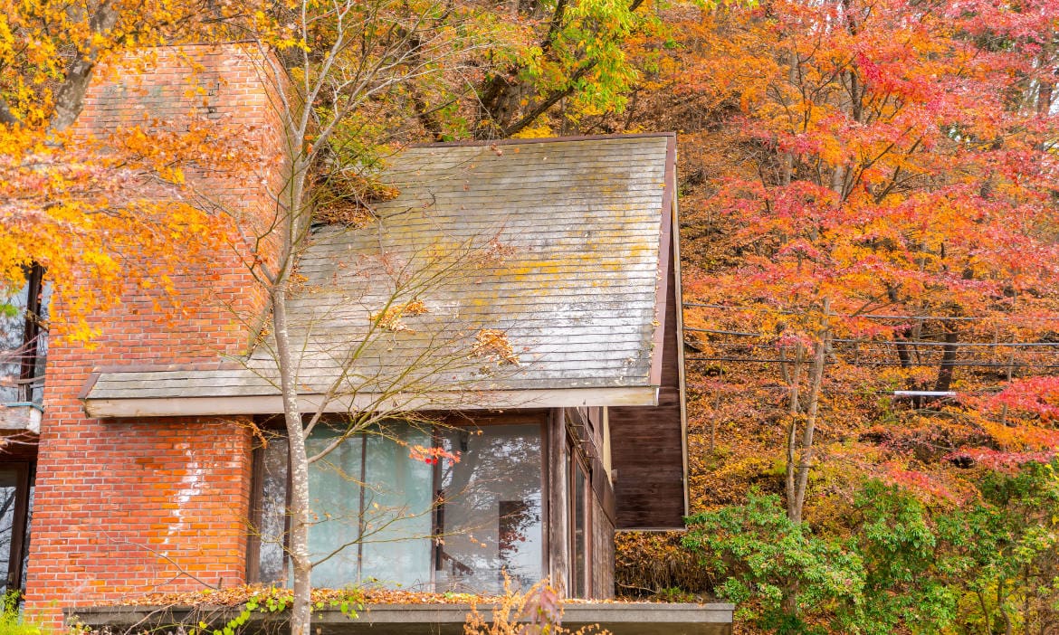 Haus mit Herbstlaub: Anbieter von Wohngebäudeversicherungen hatten es 2023 schwer wegen der hohen Schadensummen, die sie bezahlen mussten.