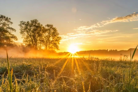 Sonne scheint auf ein Feld Foto: wahyu_t /Freepik