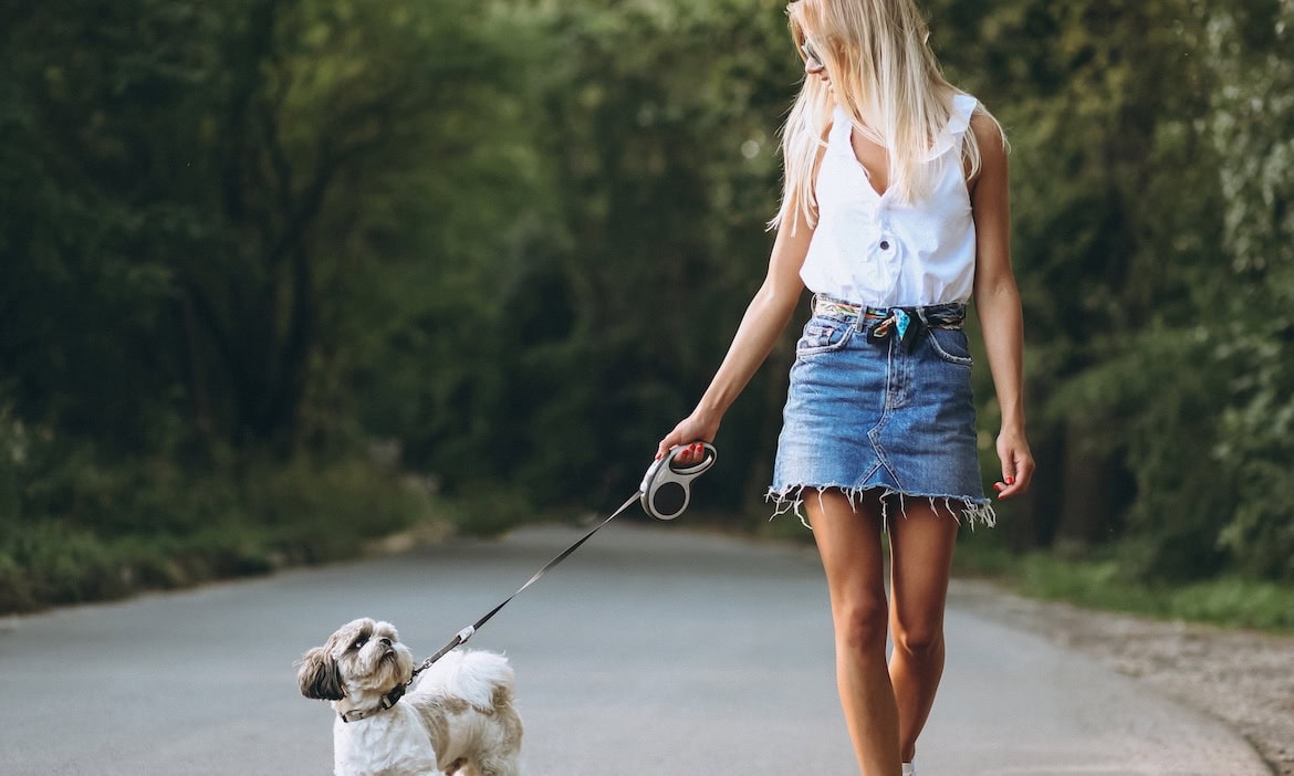 Frau spaziert mit Hund durch Park: Hundehalter haften laut einem aktuellen Urteil auch ohne Verschulden, wenn ihr Hund einen Schaden verursacht hat.