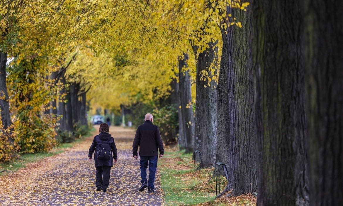 Älteres Ehepaar im Wald: Lebensversicherungen waren 2024 wieder mehr gefragt als in den Vorjahren.