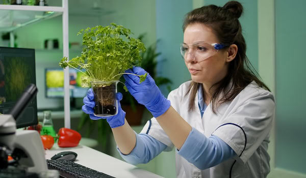 Forscherin arbeitet im Labor Foto: DC Studio / Freepik