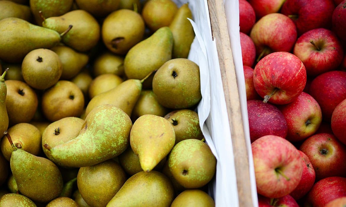 Äpfel und Birnen lassen sich kaum vergleichen, wie auch ETF-Sparplan und Fondspolice.